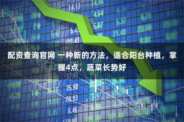 配资查询官网 一种新的方法，适合阳台种植，掌握4点，蔬菜长势好