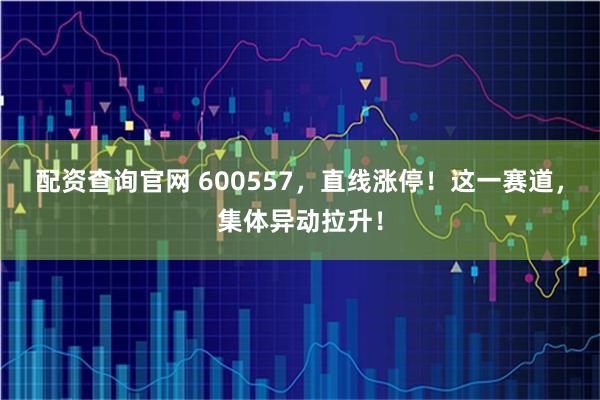 配资查询官网 600557，直线涨停！这一赛道，集体异动拉升！