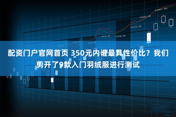 配资门户官网首页 350元内谁最具性价比？我们剪开了9款入门羽绒服进行测试